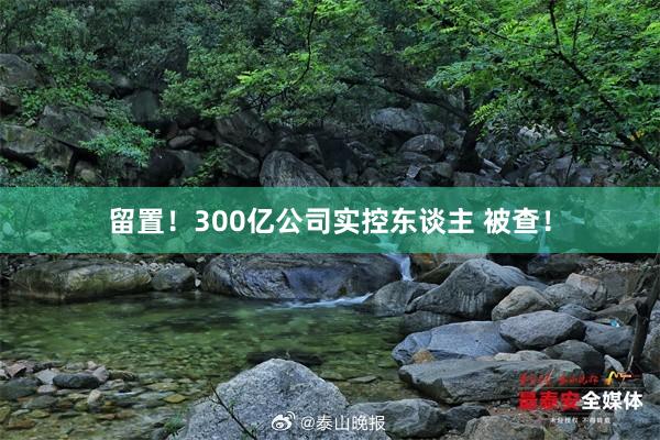 留置！300亿公司实控东谈主 被查！