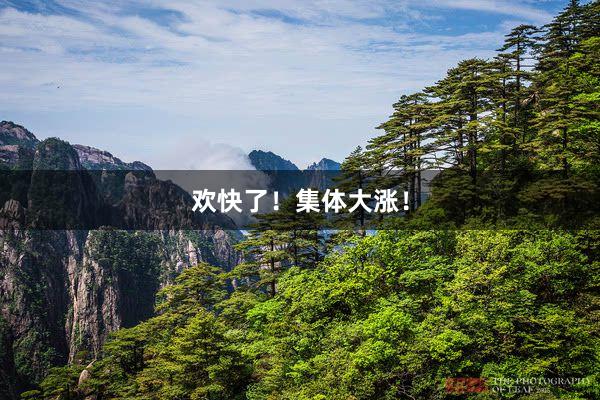 欢快了！集体大涨！