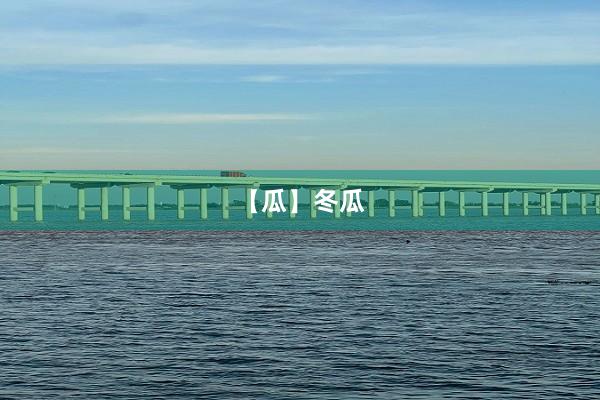 【瓜】冬瓜