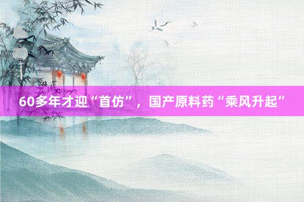 60多年才迎“首仿”，国产原料药“乘风升起”