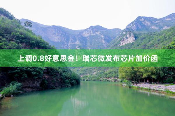 上调0.8好意思金！瑞芯微发布芯片加价函