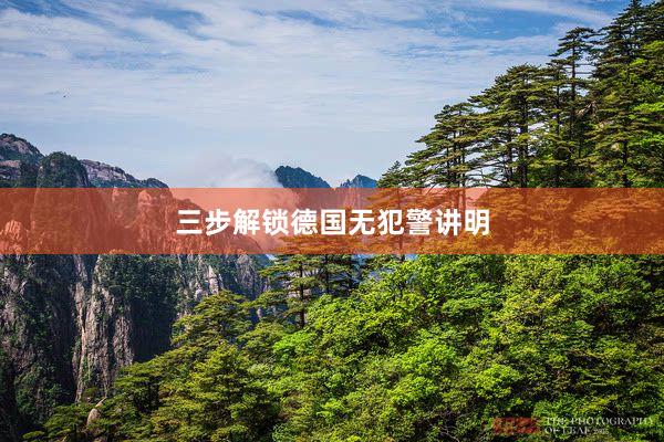 三步解锁德国无犯警讲明