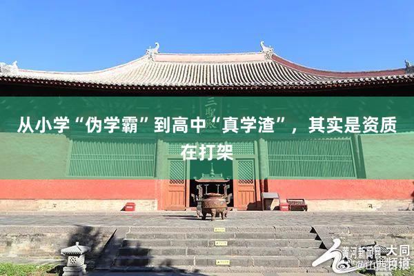 从小学“伪学霸”到高中“真学渣”，其实是资质在打架
