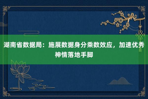 湖南省数据局：施展数据身分乘数效应，加速优秀神情落地手脚