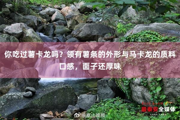 你吃过薯卡龙吗？领有薯条的外形与马卡龙的质料口感，面子还厚味