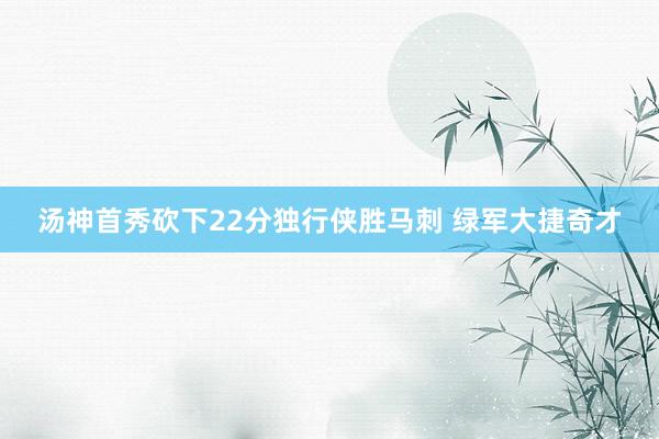 汤神首秀砍下22分独行侠胜马刺 绿军大捷奇才