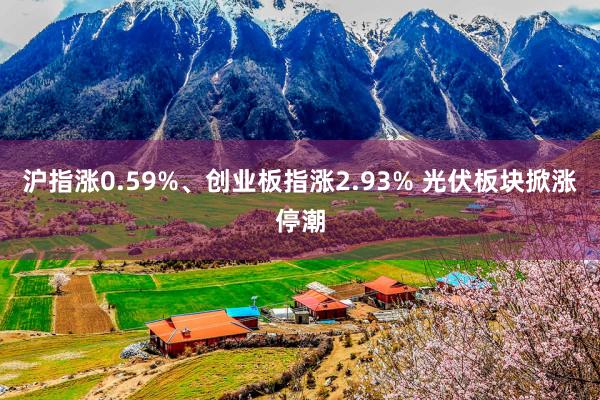 沪指涨0.59%、创业板指涨2.93% 光伏板块掀涨停潮