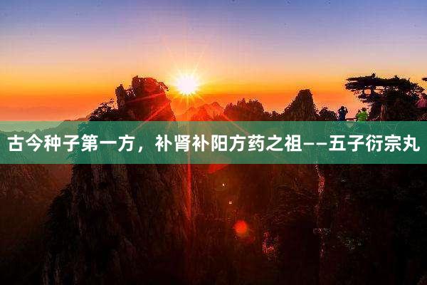 古今种子第一方，补肾补阳方药之祖——五子衍宗丸