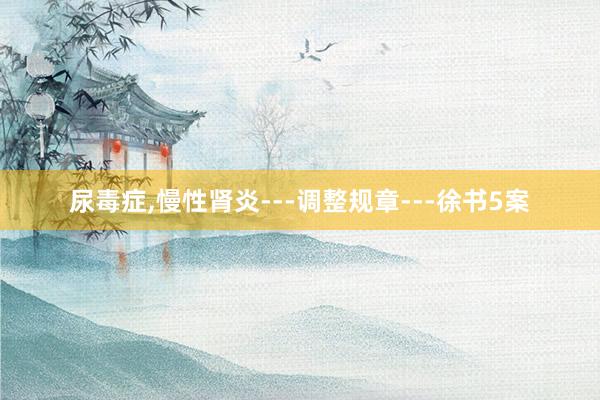 尿毒症,慢性肾炎---调整规章---徐书5案