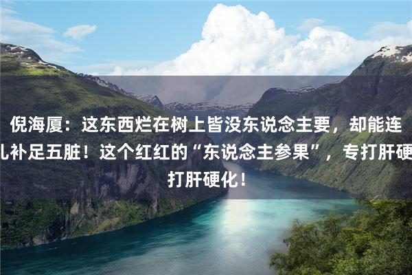 倪海厦：这东西烂在树上皆没东说念主要，却能连气儿补足五脏！这个红红的“东说念主参果”，专打肝硬化！