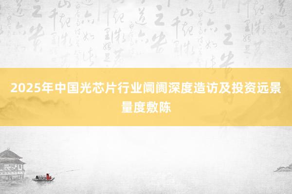 2025年中国光芯片行业阛阓深度造访及投资远景量度敷陈