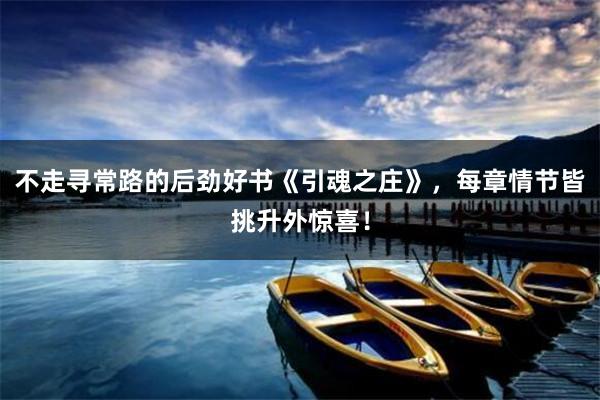 不走寻常路的后劲好书《引魂之庄》，每章情节皆挑升外惊喜！