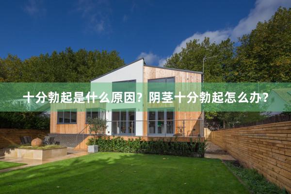 十分勃起是什么原因？阴茎十分勃起怎么办？