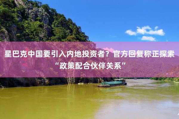 星巴克中国要引入内地投资者？官方回复称正探索“政策配合伙伴关系”