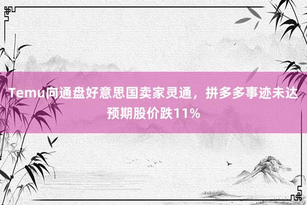 Temu向通盘好意思国卖家灵通，拼多多事迹未达预期股价跌11%