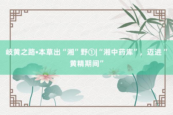 岐黄之路•本草出“湘”野①|“湘中药库”，迈进“黄精期间”