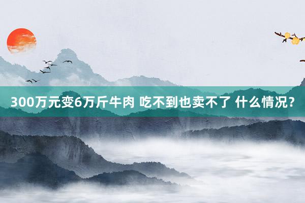 300万元变6万斤牛肉 吃不到也卖不了 什么情况？