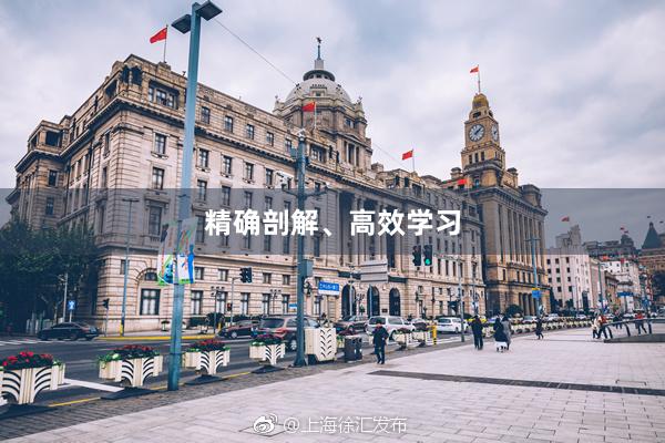 精确剖解、高效学习