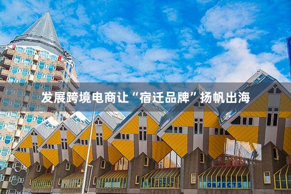 发展跨境电商让“宿迁品牌”扬帆出海