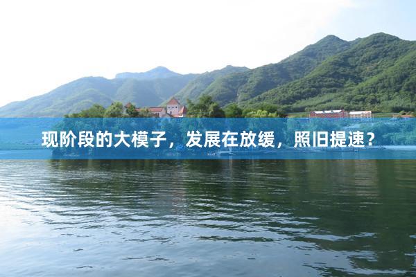 现阶段的大模子，发展在放缓，照旧提速？